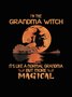 I'm the grandma witch it‘s like a normal grandma but more magical witch  Sweatshirt
